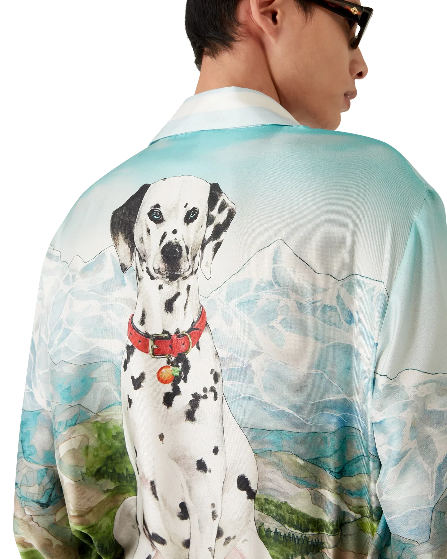 Dalmatian A La Montange Long Sleeve Silk Shirt | Casablanca Paris | Image 9