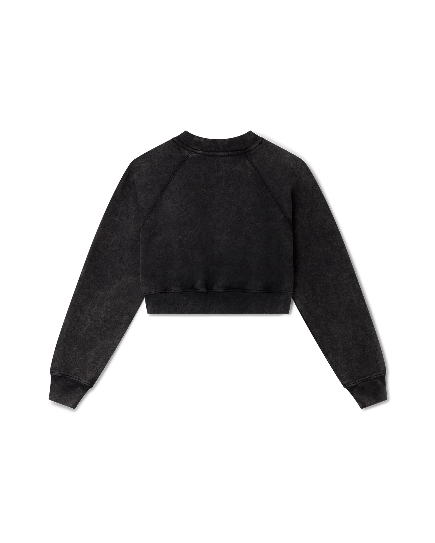School of Beautiful Cropped Sweatshirt | Casablanca Paris | Image 2